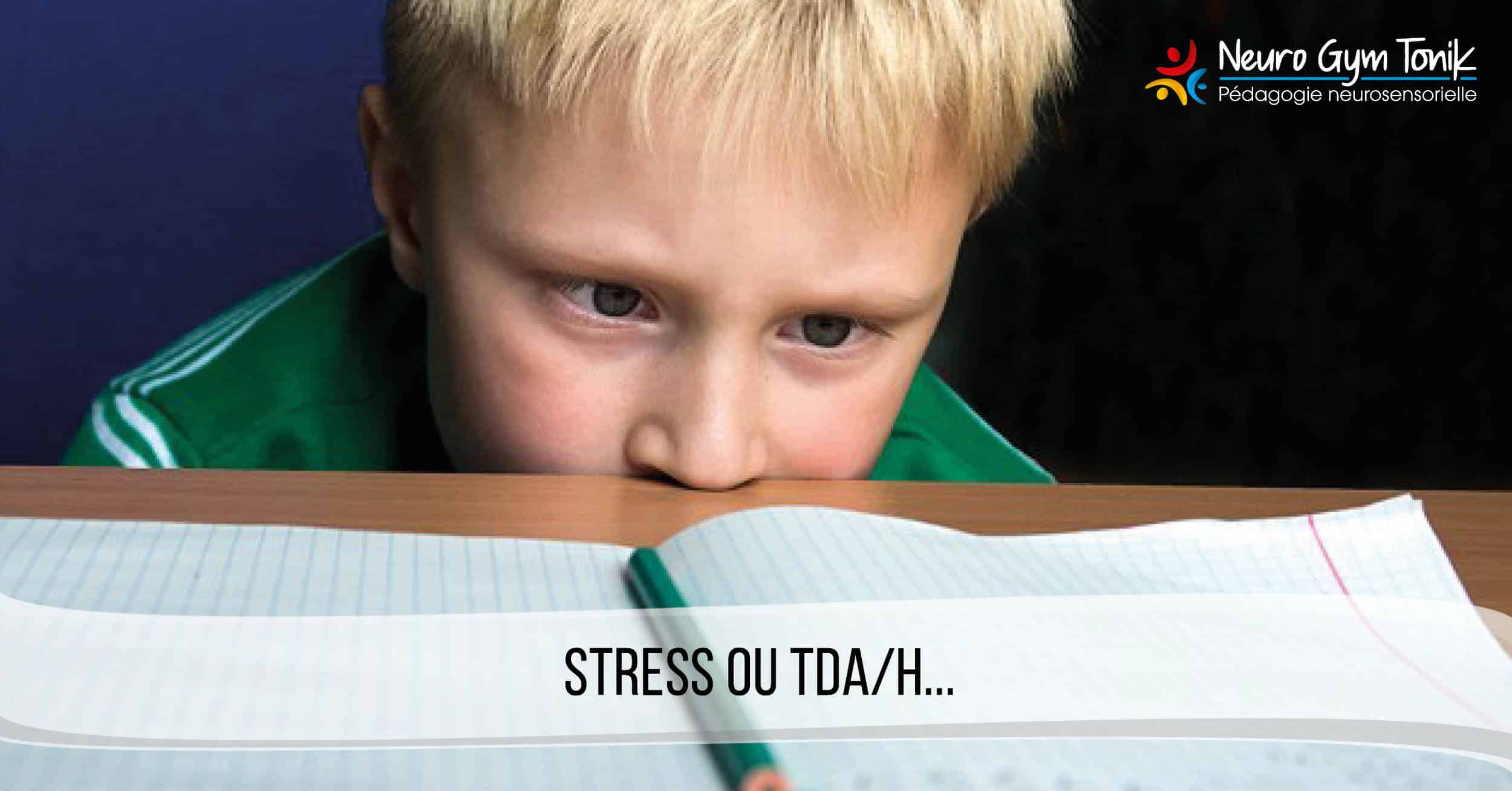 Stress, TDA/H et difficultés d’apprentissage : comportements similaires ?