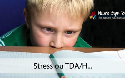 Stress, TDA/H et difficultés d’apprentissage : comportements similaires ?
